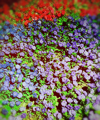 Ϊʲôϲ������ ��Ϊ���������Լ���Ӱ��