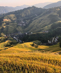 ����֮�� �����������ɫ