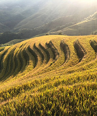 ����֮�� �����������ɫ