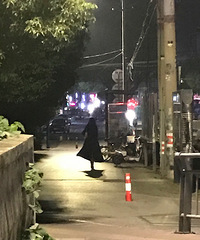 大晚上的艳遇---风姿绰约 网友评论亮了