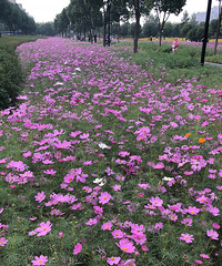 �㱾�����Ժܿ��ֵĿ�����ѧ����̸����