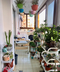 [װ��]���µ�����Ů�� ��̨�������������