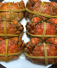 �������ۣ�������