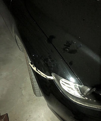 ���ѺȾ� Ů�ѿ����ĺ��