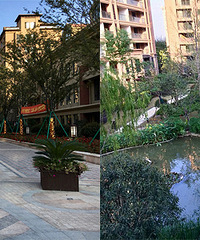 һ��������Ϯ������ĳ����С��������