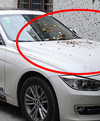 ��ͣ�� ���������ˣ�