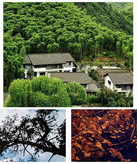 �����ʣ10λ����Ī��ɽ�������ƺ��Ͱ���