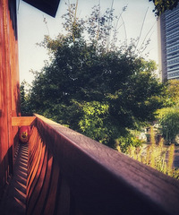 �Ϻ���ͬ�ô�ѧ�Ȳ�ض�