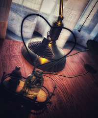 �Ϻ�����︽������è����