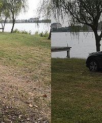 �úõĲݵ�ȴ��������ͣ��