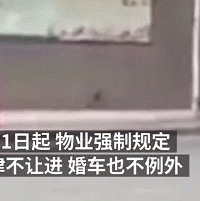 没买车位 婚车不让进小区 新娘走路嫁进门!
