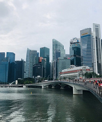 ����Ҳ��high �����¼�����������