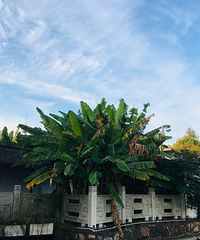 �����ļ���