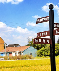 环境好心情自然好美丽乡村----由桥村
