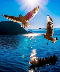 ����Լ�ϲ����ģ��