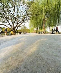 下周最低温跌破10℃ 嘉兴下周将开启“阴雨模式”!