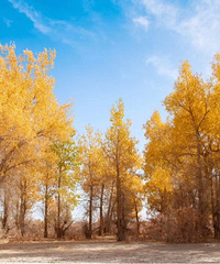 ���У�����һ�����С�