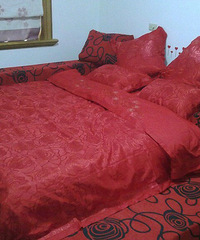 [װ��]��ô��׼�������ˣ����ֶ�����...