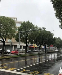 扣3分罚100 嘉兴首个违反网格线禁止标线抓拍系统正式上线!