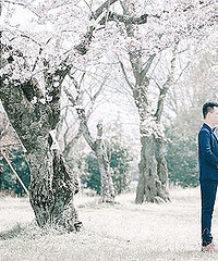 ���ɳ������ ֤���ջ���������