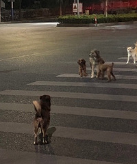 ע�⣡��︽���г�ȺҰ����û