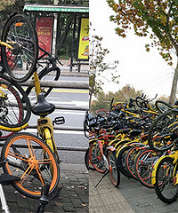 �����Լ��Ķ�����������̣��