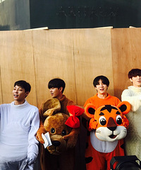 ���������� ͵��һ������Ũ��