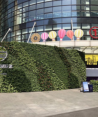 ����ĳ¥���ھ����������顱 ��Ѽ�������Ϳ�ǻ �ð���