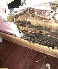 ��Ҫ��飡��Ϊ��Ǯ��ȻҪ��������ĸŮ