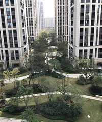 �²������ĸ�С�������ѣ����ݻ�����һ�۾��ϳ�����