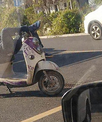 ţ����������� �Ṧ����Ʈ