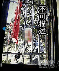 ��̬��͵Ů���ڿ㻹����������