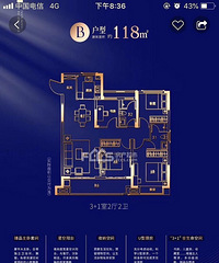 ����סլ�� ʢ����������Ҫ����ϵ���1