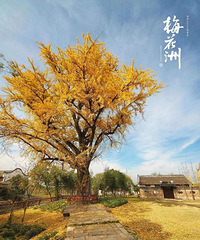 ������С��ū�������22�ڡ�С��ū���︣�� ����ȥ÷����������