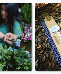 ����������������Ѳμӻ��տ���!