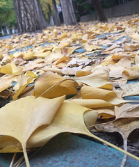 ֵȥ·ӵļˣȴȥ̽̽·