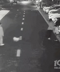 ǣĺôС̩ϲǣ ҹܵö