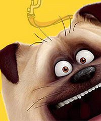 �ȳ轻�Ѽ��껪