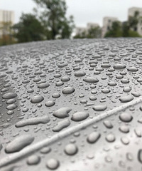 ����  �ƾ� ȫ��������Ĥ ԭ��Ҫ����ѡ