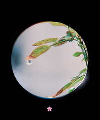 雨滴儿