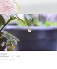 雨滴儿