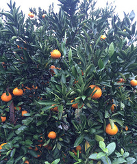 �ϱ�����ɽ�����.������ͮͮ��Ŷ��