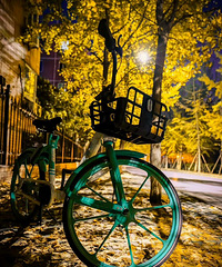 ���ſڵľ�ɫ����· �ּ����ӽ��ʱ