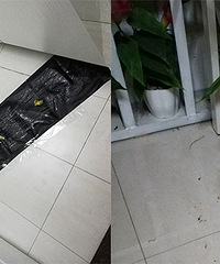 ���� ���ﱻ���������һ����