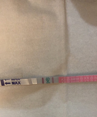开心!从姨妈推迟到一条杠 从意念灰终于两条杠了