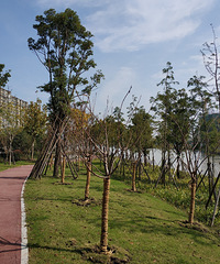 �Ƹ��������Ƕ����wanghong¥�� �ڶ�����ÿһ��������������