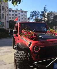 ��鶩��������������ͷ�� ���ʱ�������Ҫ��