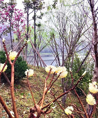 �����ܱ��������������԰ ��ĩ�����������