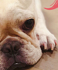 �����գ�19¥�ȳ轻�Ѽ��껪��