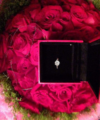 ���Ϲ�������һ�� ˫ʮһ������9�갮���� ����������ˣ�